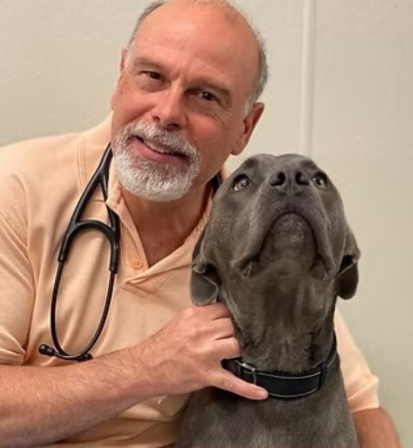 600X800 - Anthony Tursi Anthony Tursi