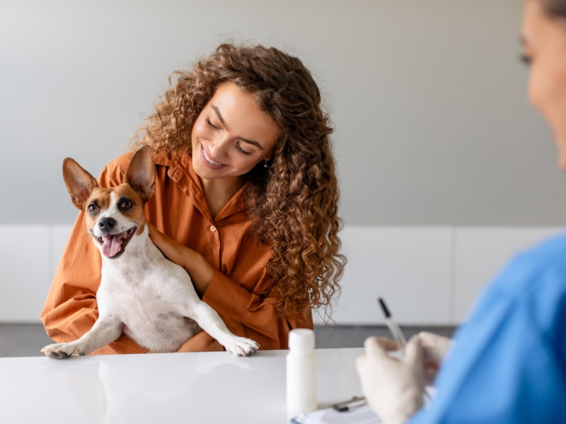 Dog sitting with woman talking to a vet