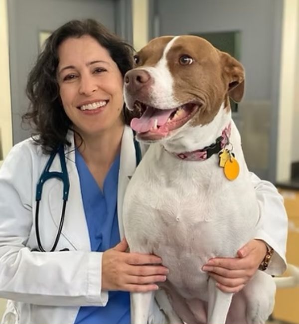 600X800 - Jennifer Romano Bucholtz Jennifer Romano Bucholtz