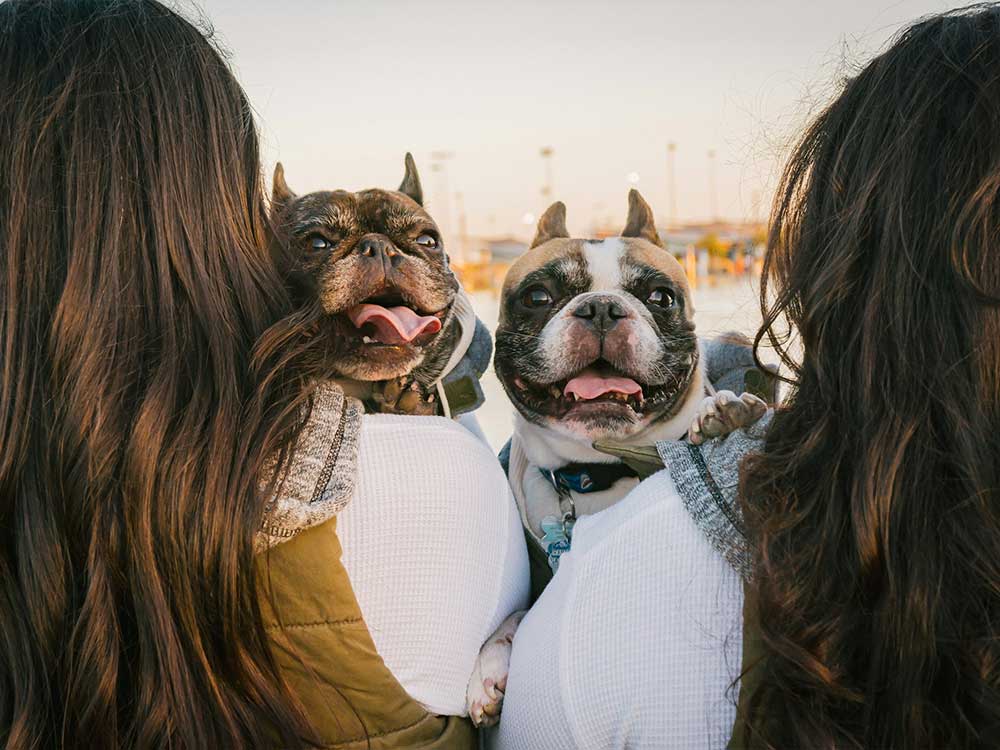 Two-women-holding-cute-Frenchies.