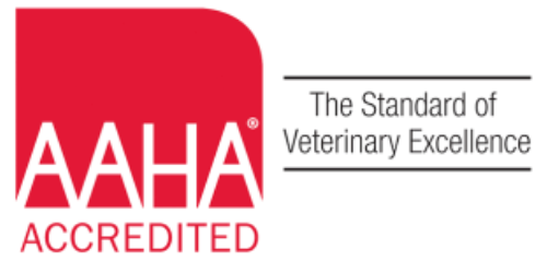 AAHA Accredited Logo