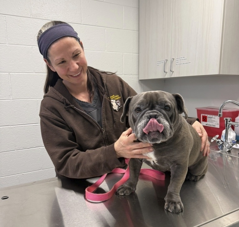 Dog sitting with woman talking to a vet
