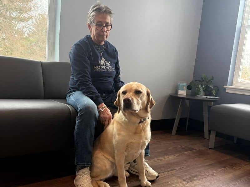 A lady with a yellow lab in the reception area