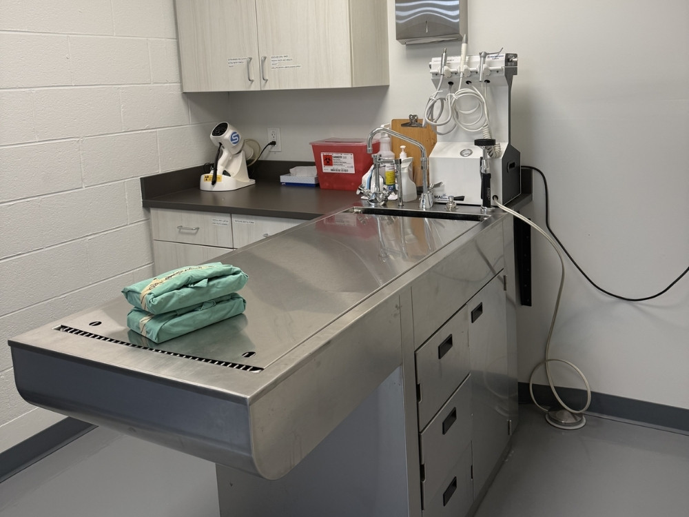 Hopewell Veterinary Hospital Dental Room Hopewell Veterinary Hospital Dental Room