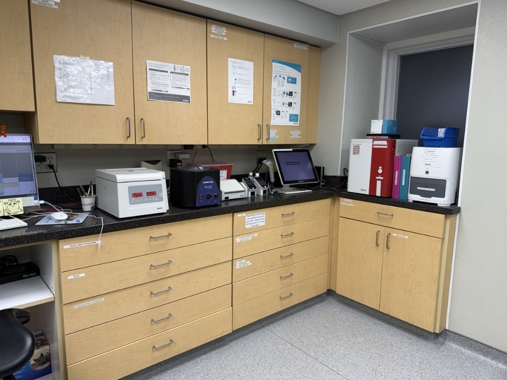 Hopewell Veterinary Hospital Treatment Lab Hopewell Veterinary Hospital Treatment Lab