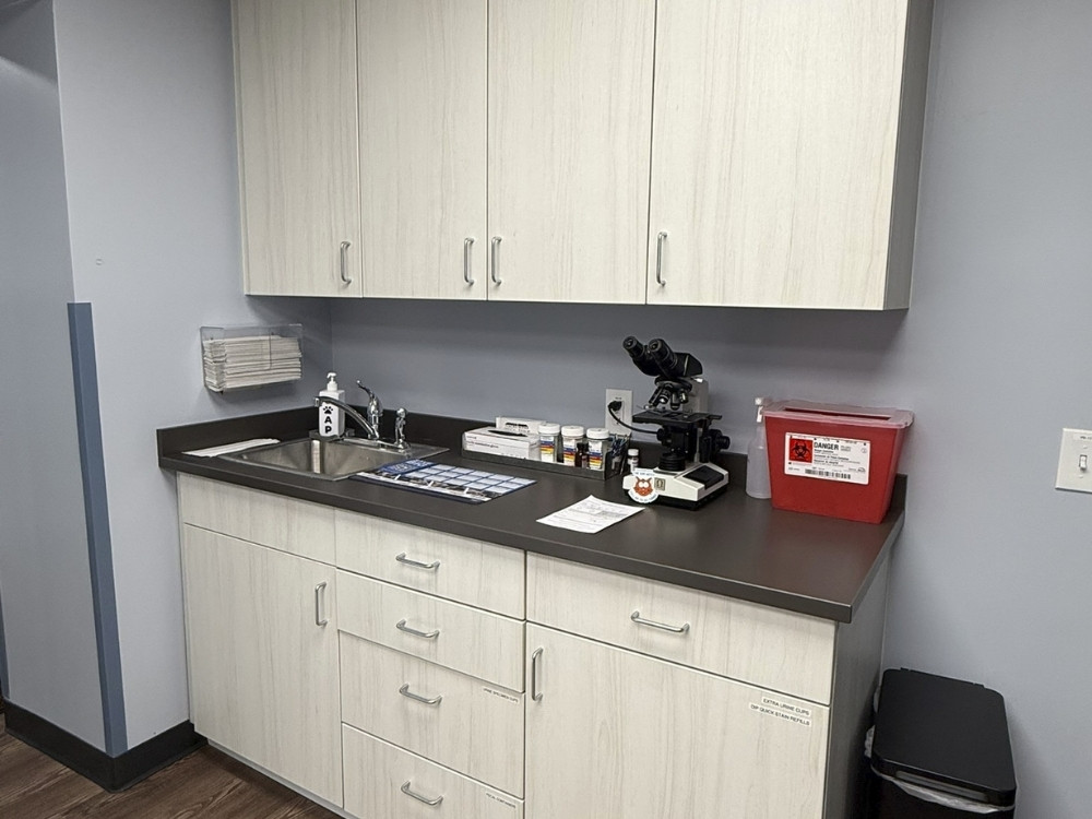 Hopewell Veterinary Hospital lab Workspace Hopewell Veterinary Hospital lab Workspace