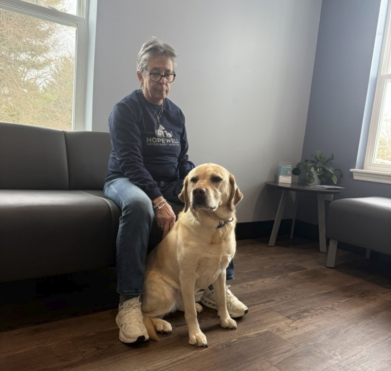 Dog sitting with woman talking to a vet