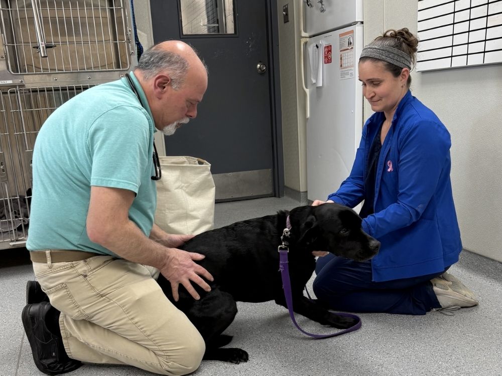 Tursi and Natalie treating a dog Tursi and Natalie treating a dog