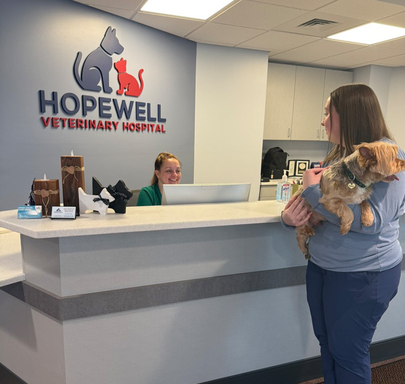 Dog sitting with woman talking to a vet