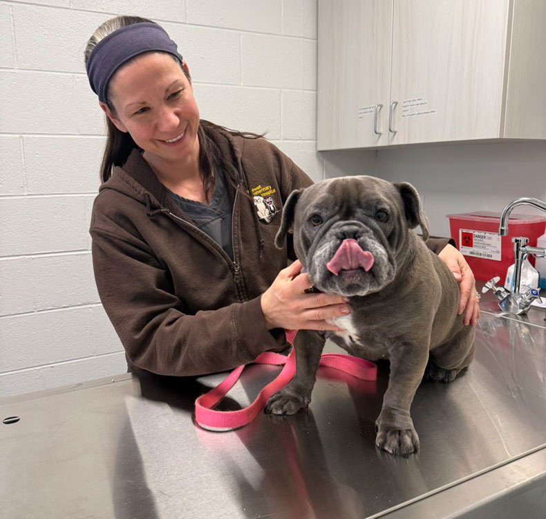 Dog sitting with woman talking to a vet