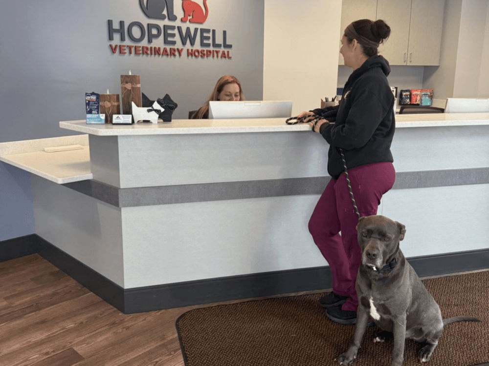 A lady with dog taking to staff at front desk