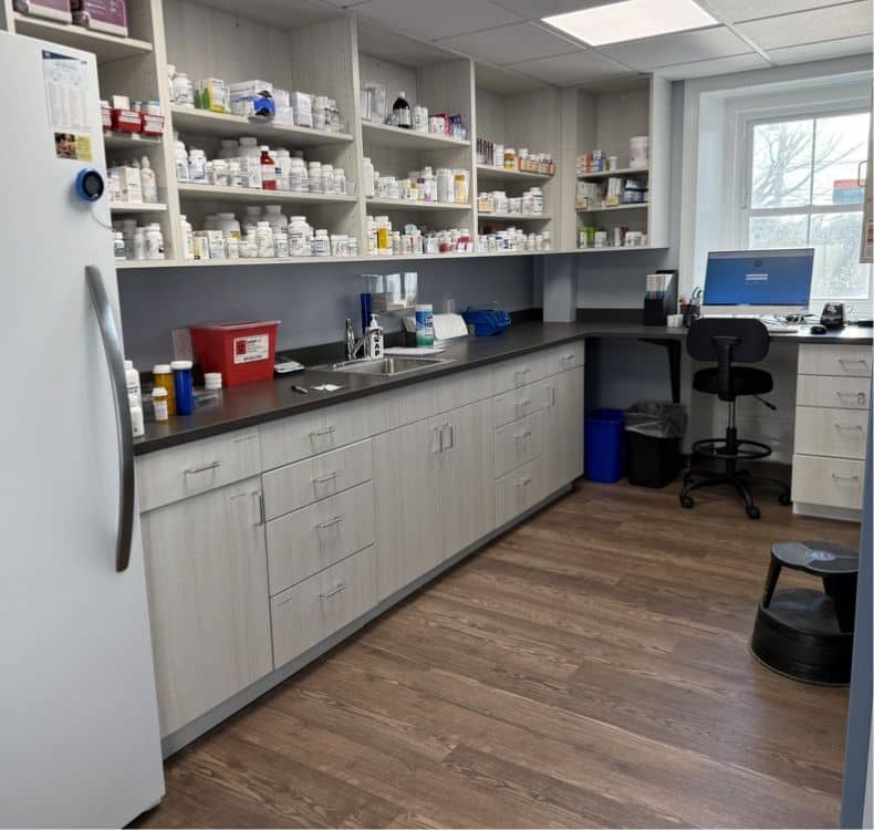 Dog sitting with woman talking to a vet